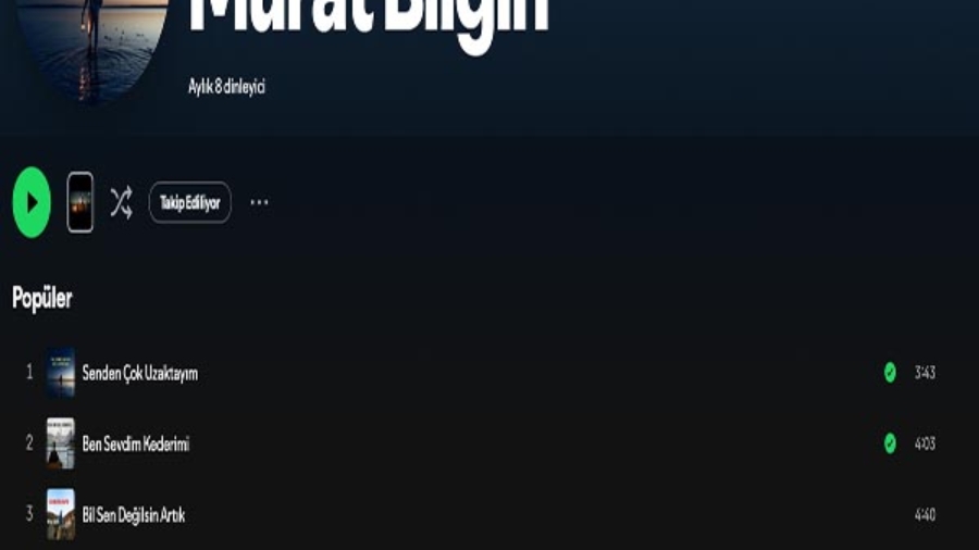 SpotifyKapaka